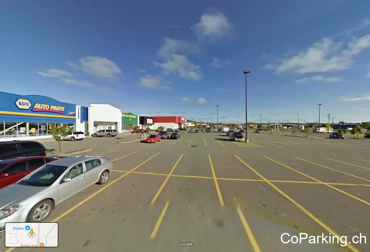NAPA Auto Parts - Revere Solutions Inc.