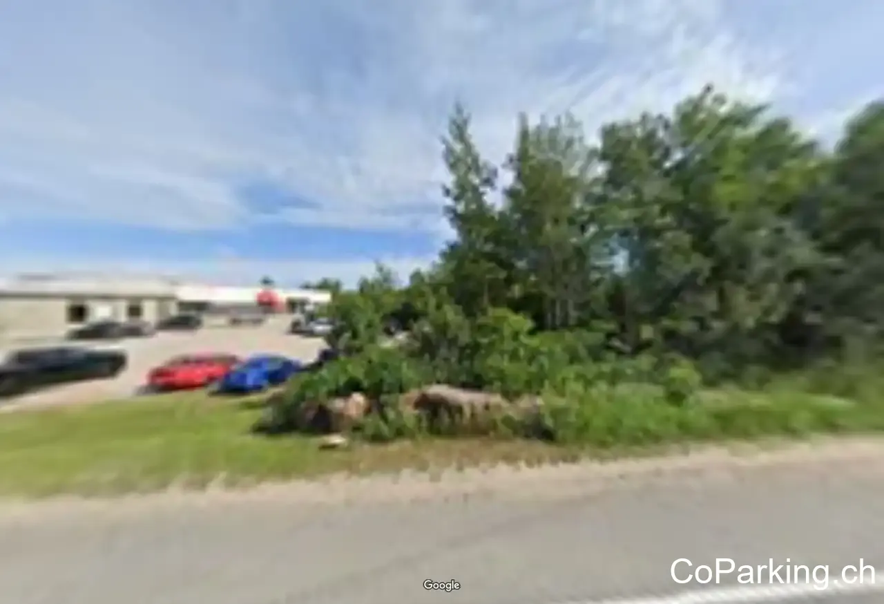 Trout Lake Auto