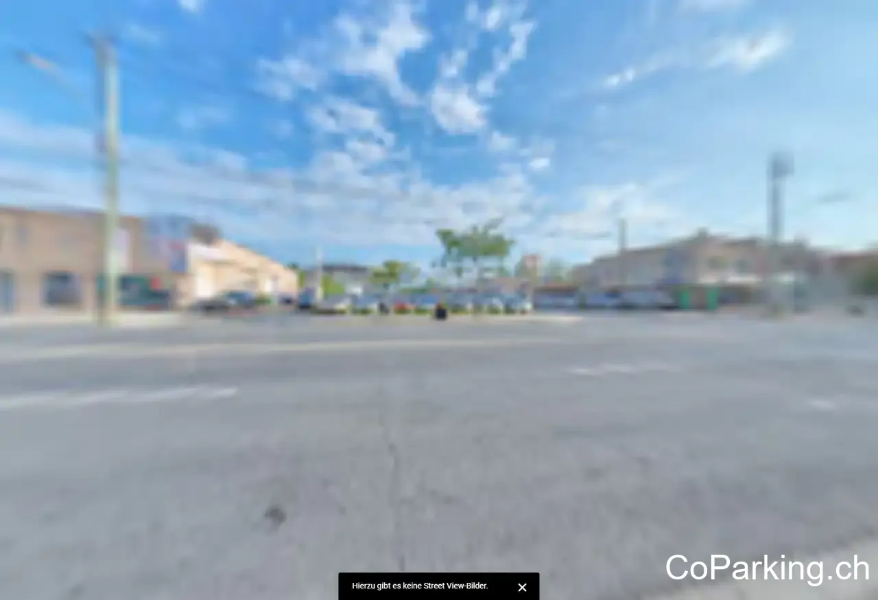 SSR COLLISION EXPERT