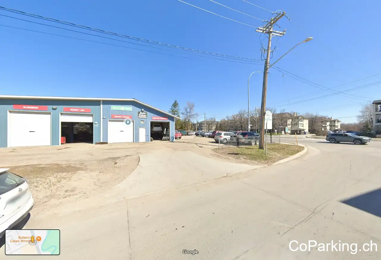 Daves Auto Diagnostics