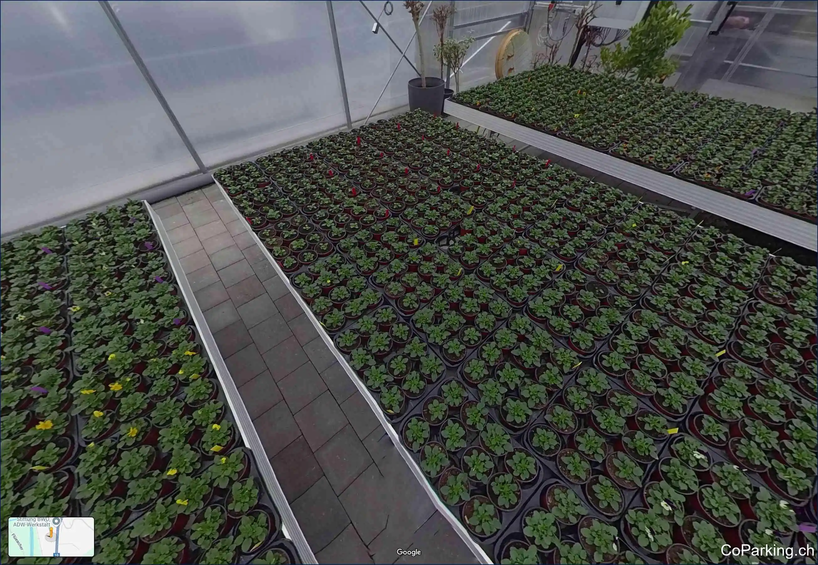 Street View 4