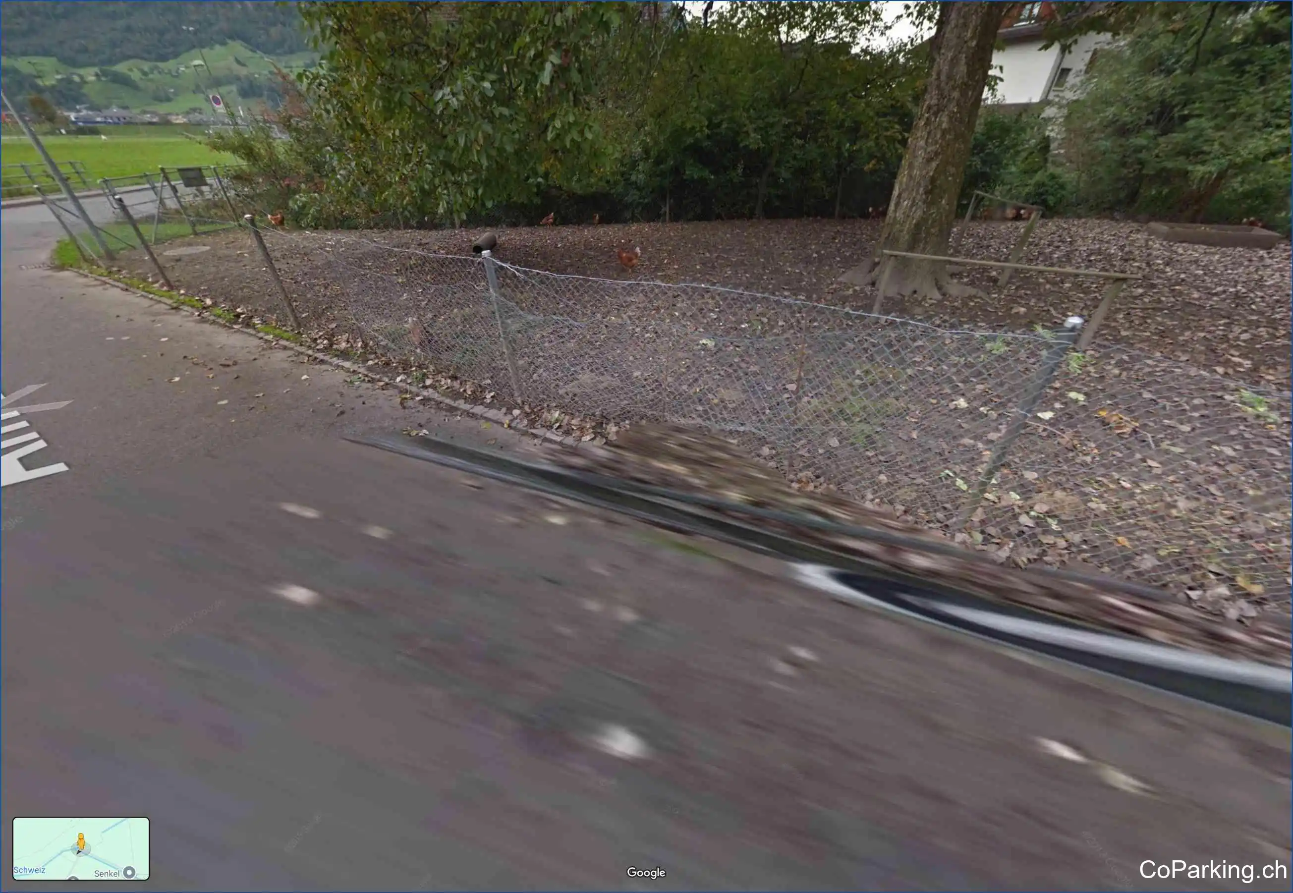 Street View 4