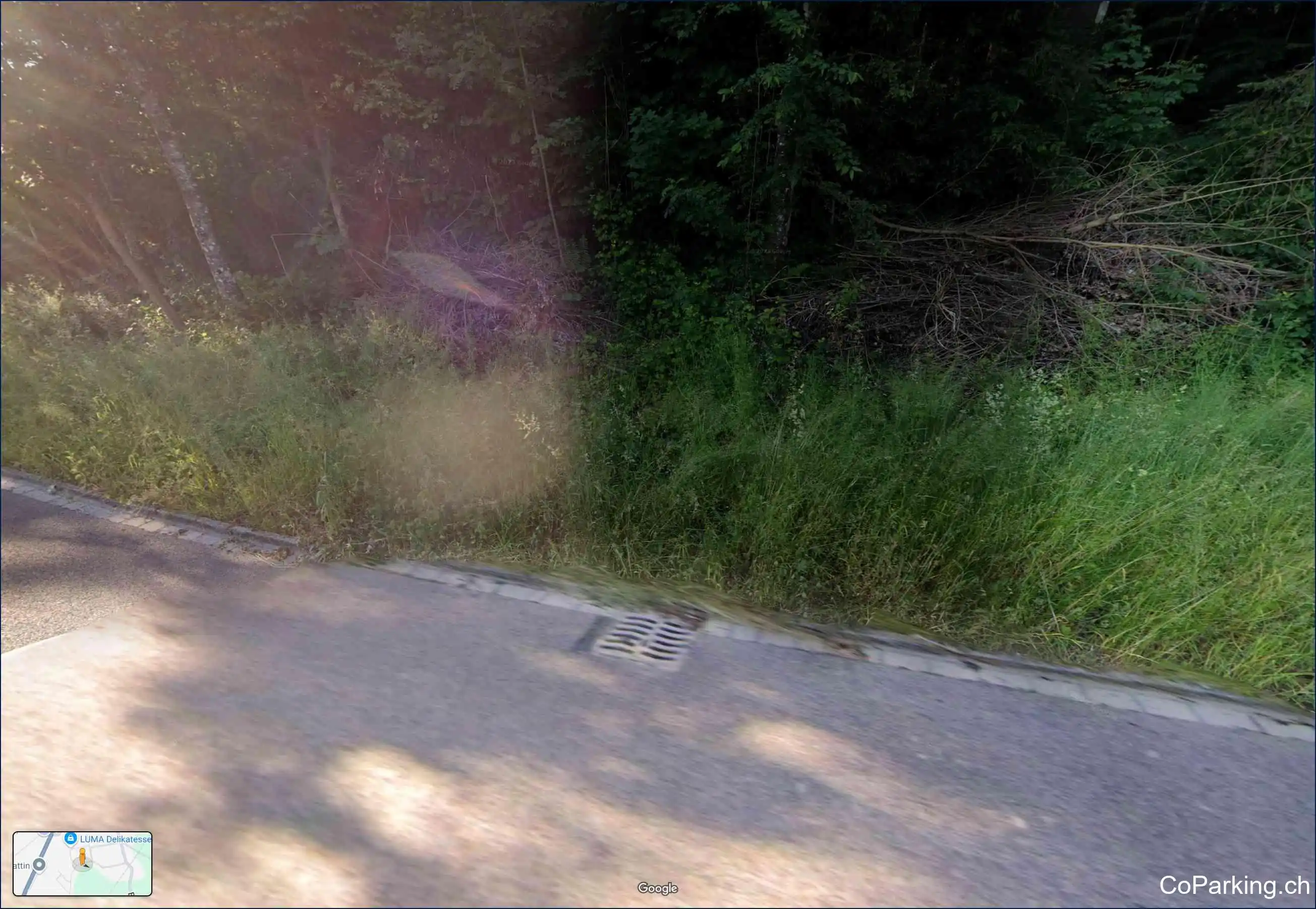 Rundbuckstrasse 12, Neuhausen am Rheinfall 8212