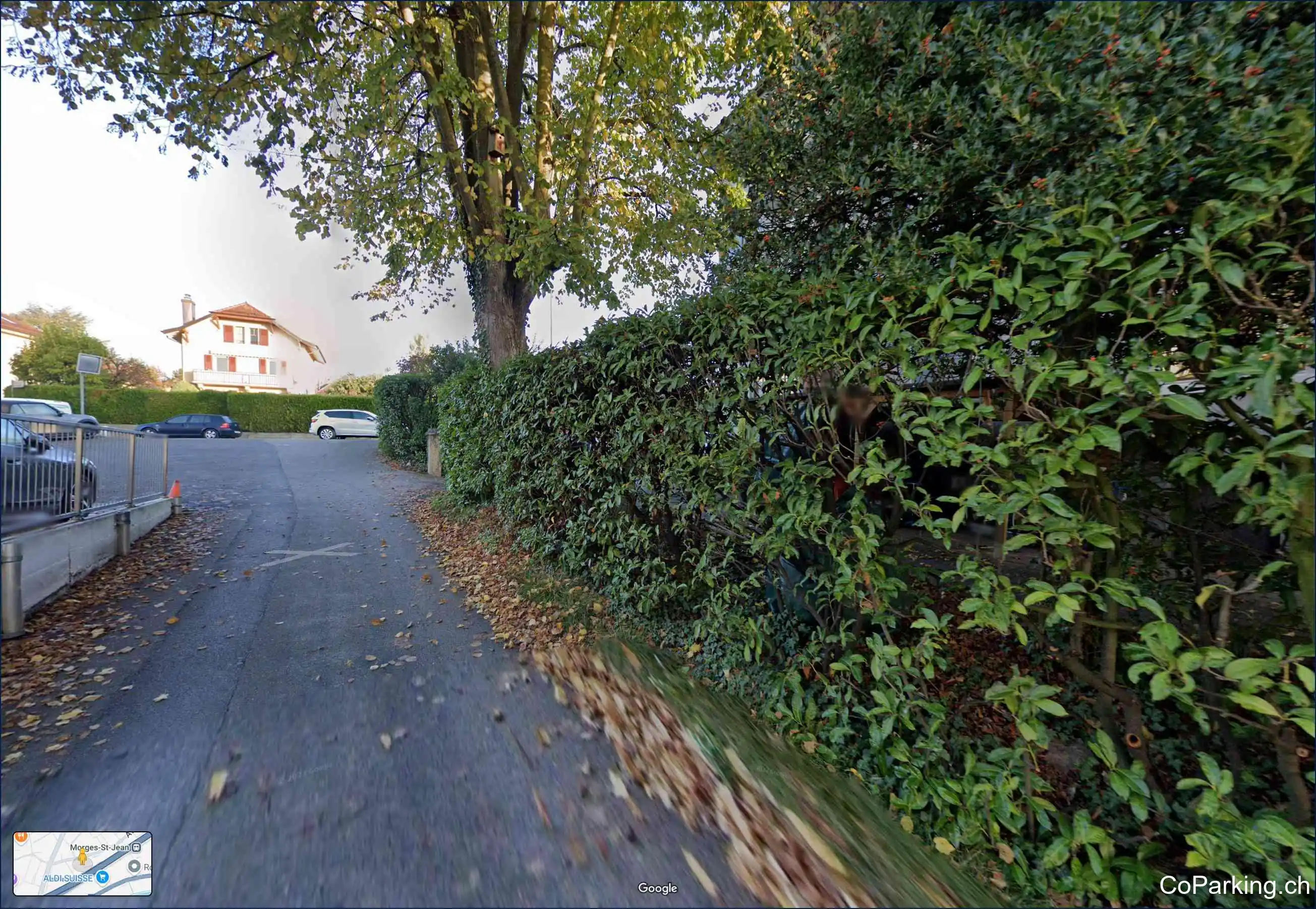 Avenue de Plan 8, Morges 1110