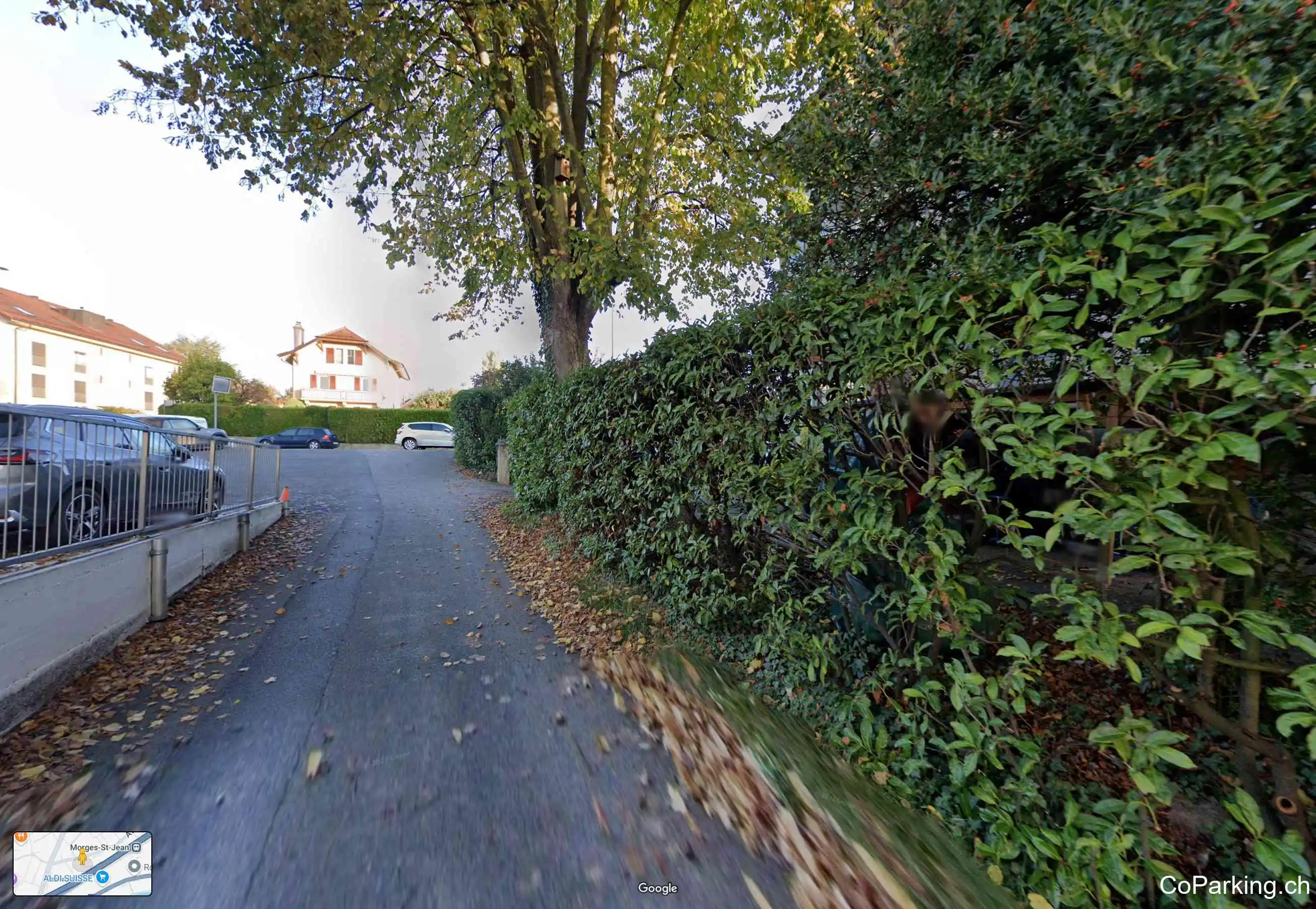 Avenue de Plan 8, Morges 1110