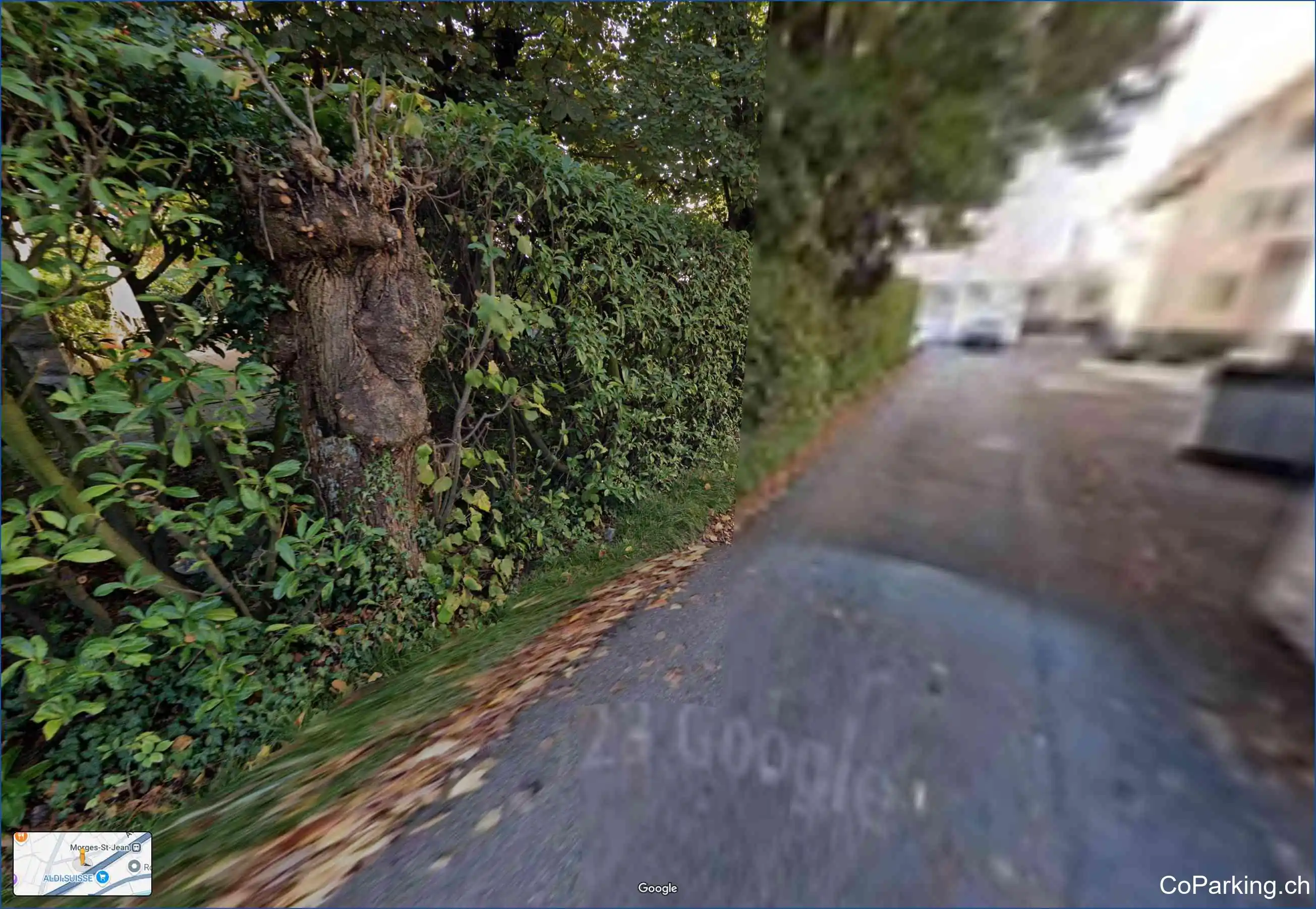 Avenue de Plan 8, Morges 1110
