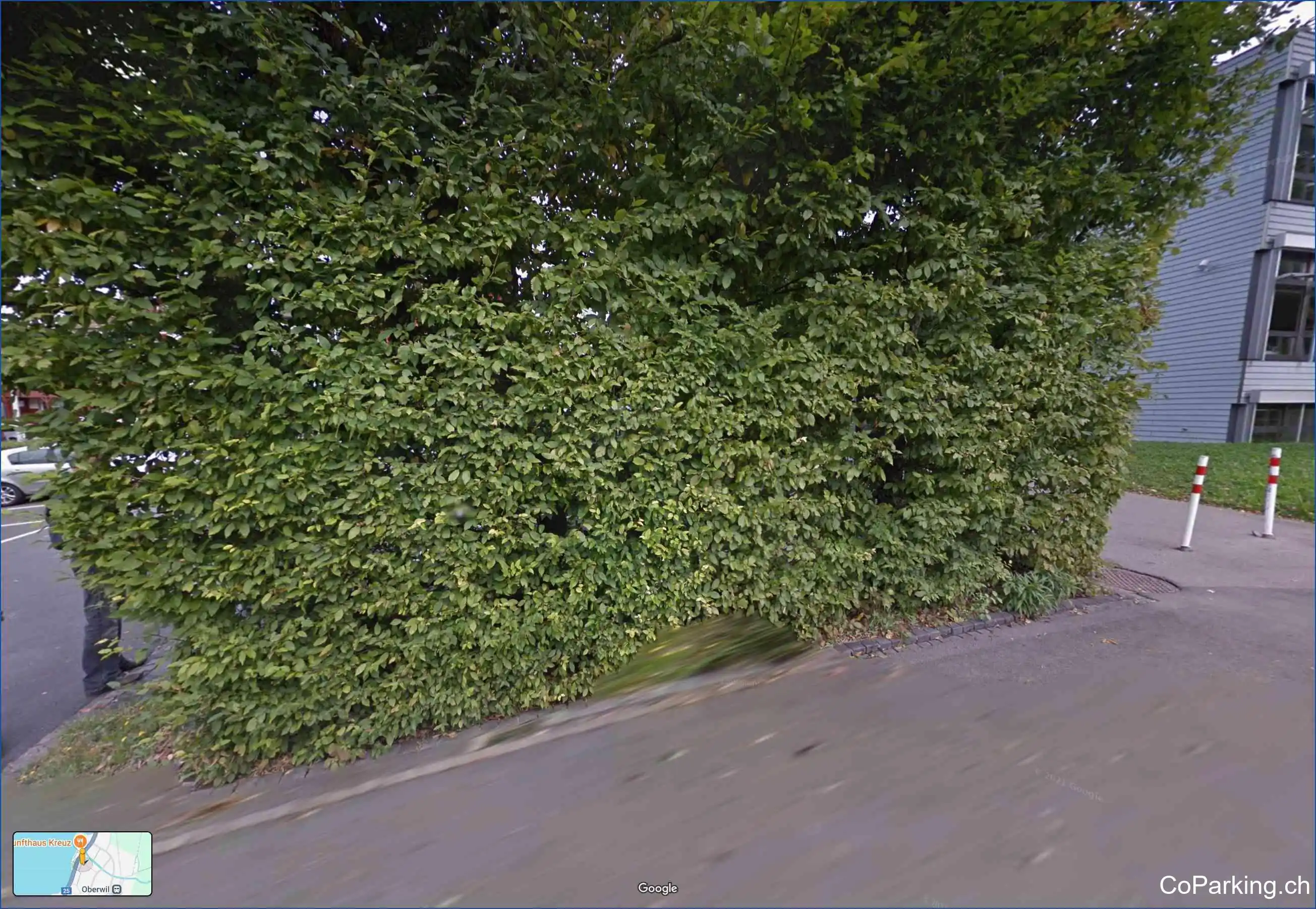 Bruder-Klausen-Weg, Oberwil b. Zug 6317