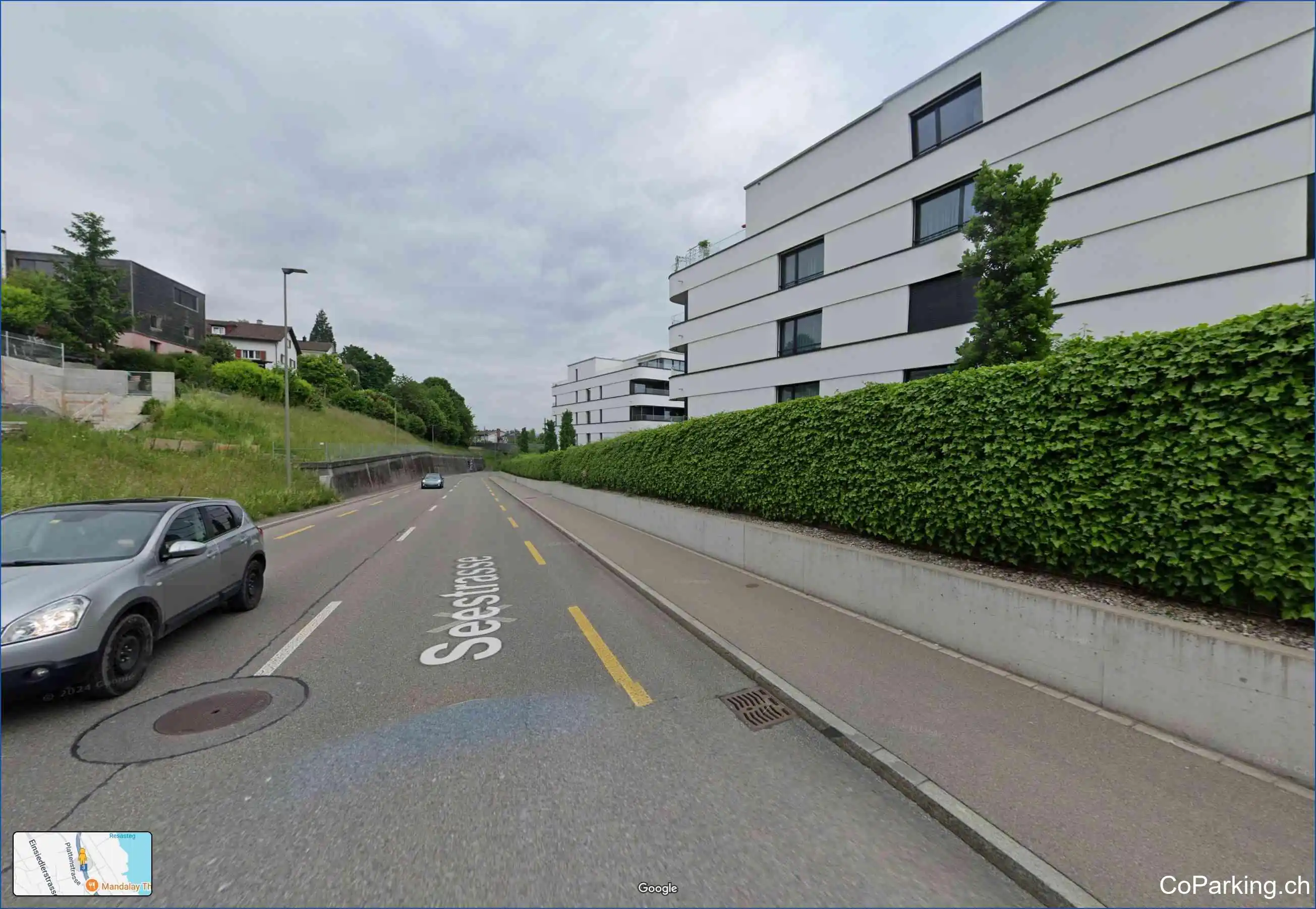 Seestrasse 38, Horgen 8810
