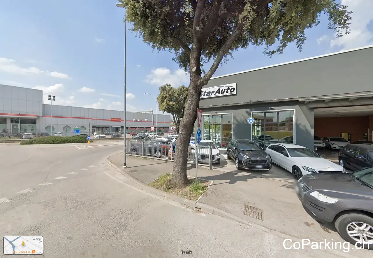 Star Auto Srl