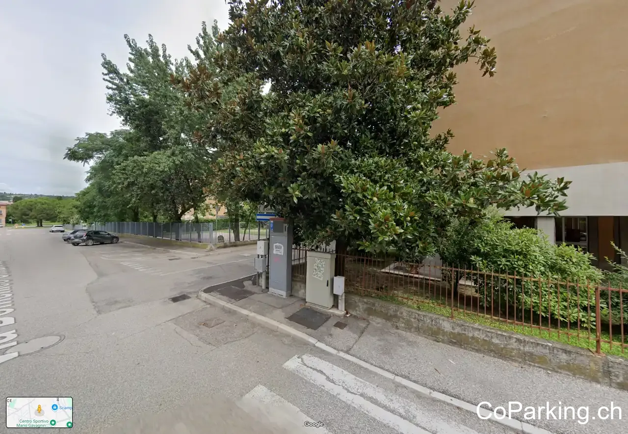 Car Service Verona Italia