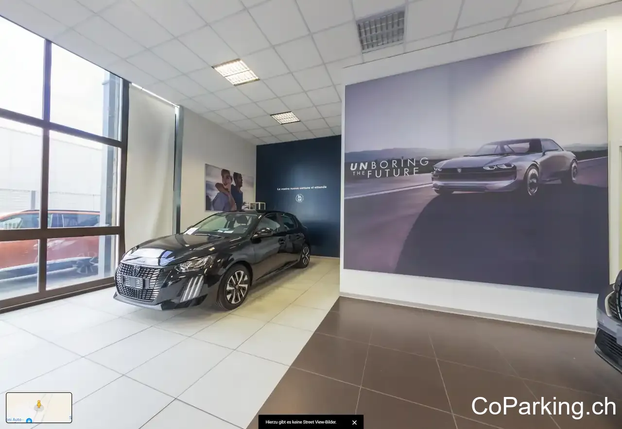 Assistenza Citroën Opel Peugeot Siena Motori