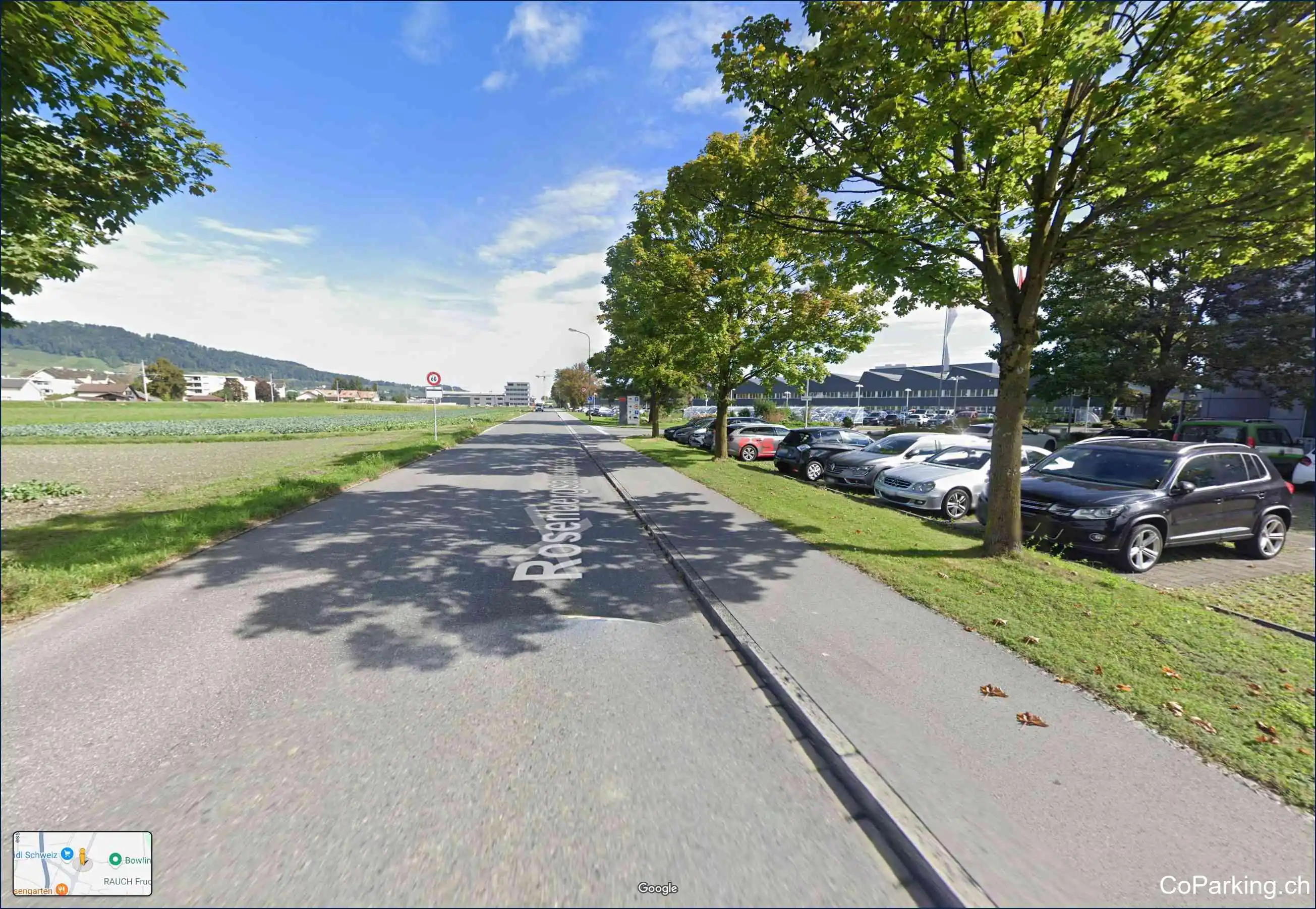Parking Rosenbergsaustr., Rosenbergsaustrasse, Widnau, 9443