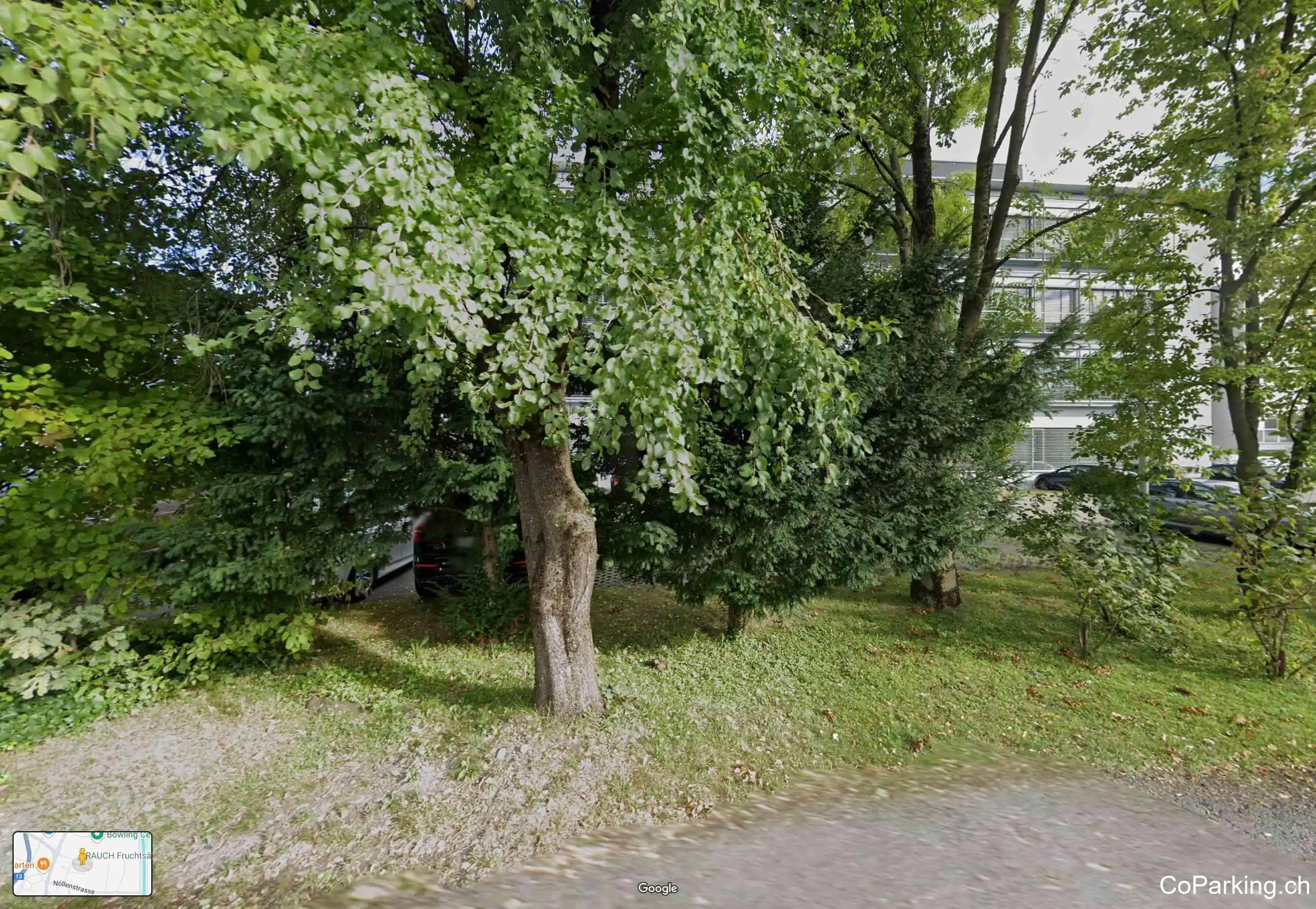 Parking Rosenbergsaustr.