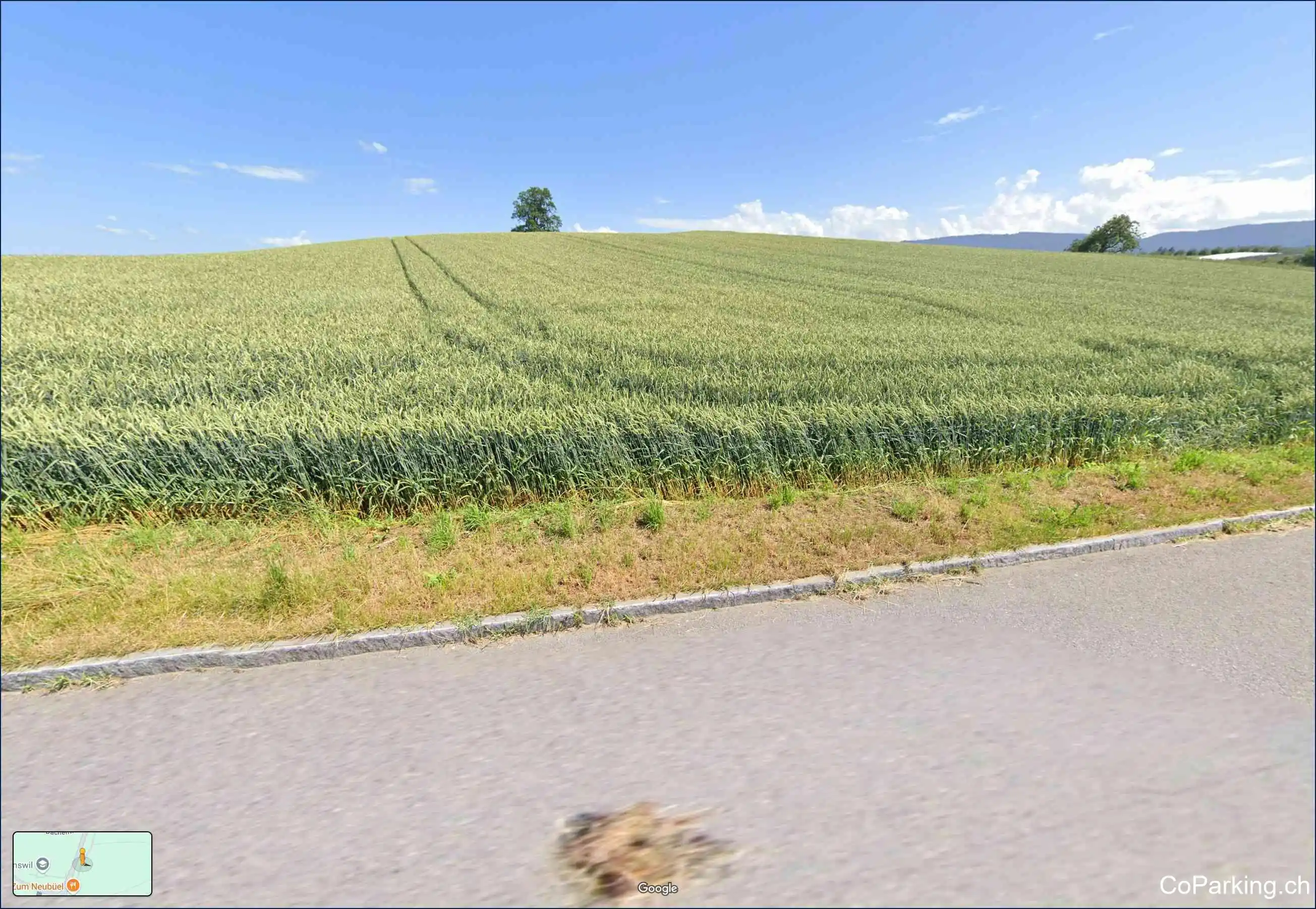 Parking Alte Zugerstr., Alte Zugerstrasse, Wädenswil, 8820
