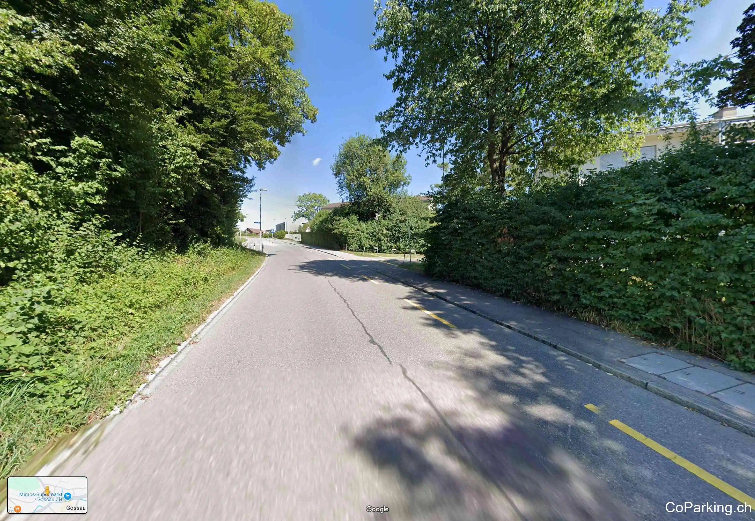 Parking Wüeristr.