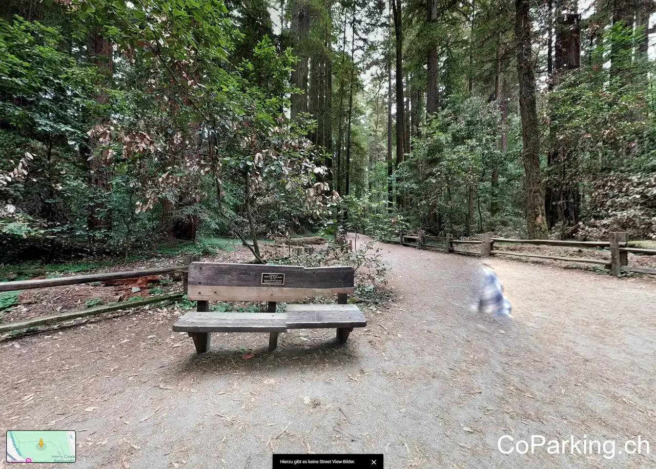 Henry Cowell State Park parking lot C