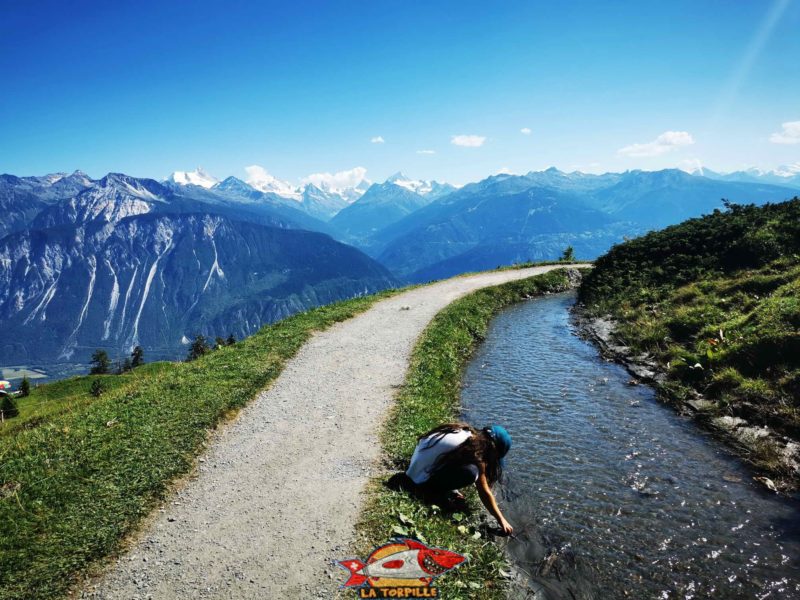 Bisse du Tsittoret