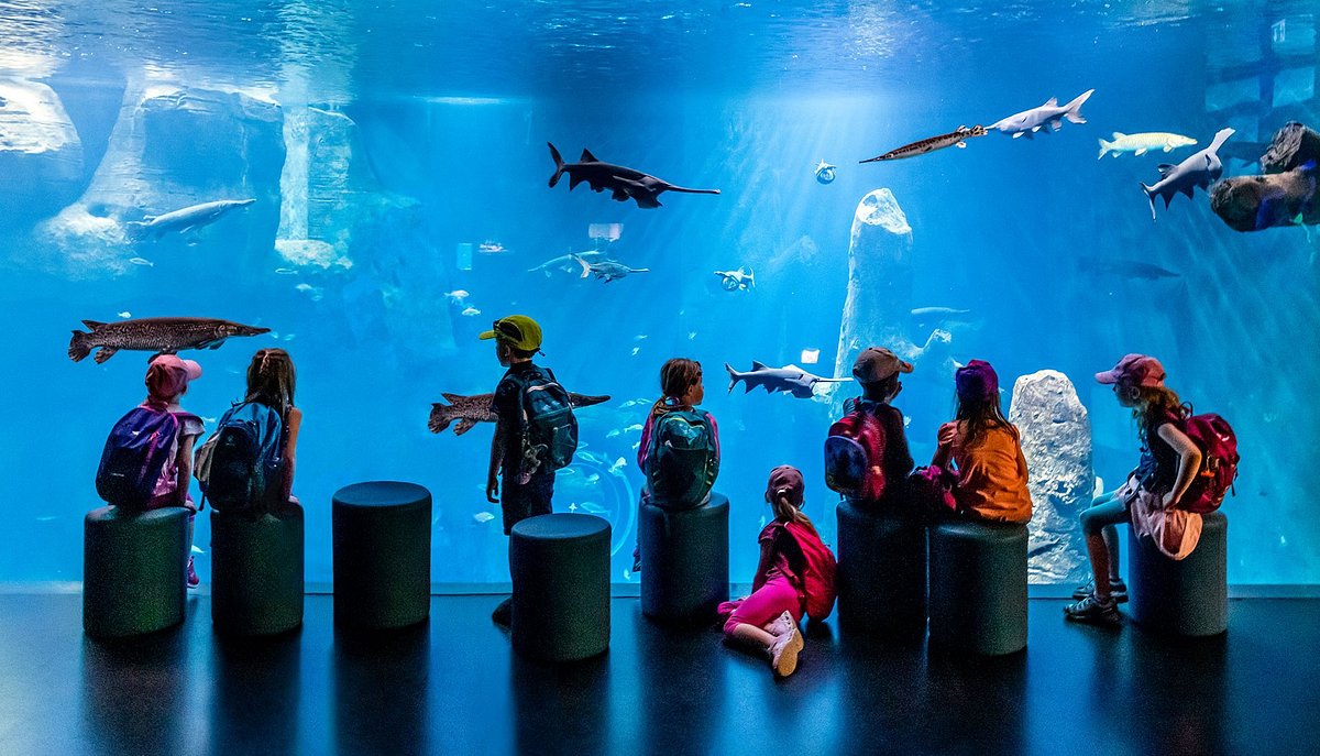 AQUATIS Aquarium-Vivarium de Lausanne avec sa façade distinctive et ses installations aquatiques